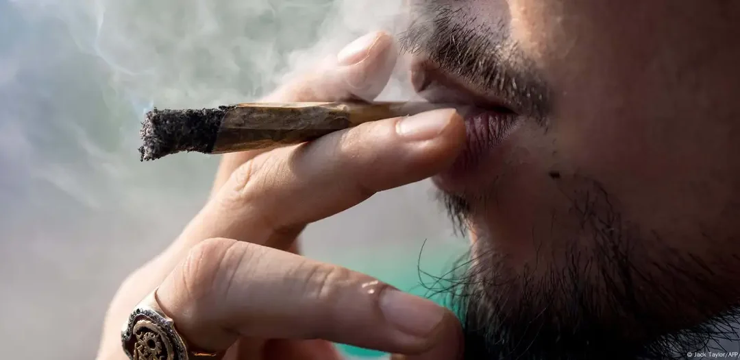 Thailand Does U-turn On Recreational Cannabis Use