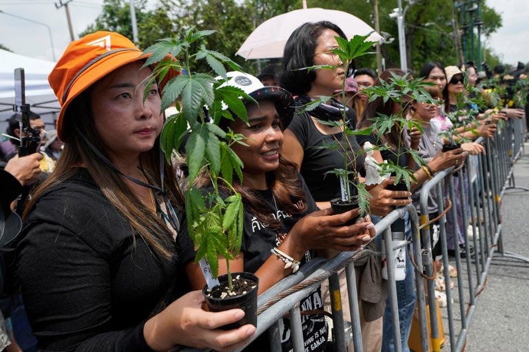 Thailand Poised To Outlaw Cannabis Again