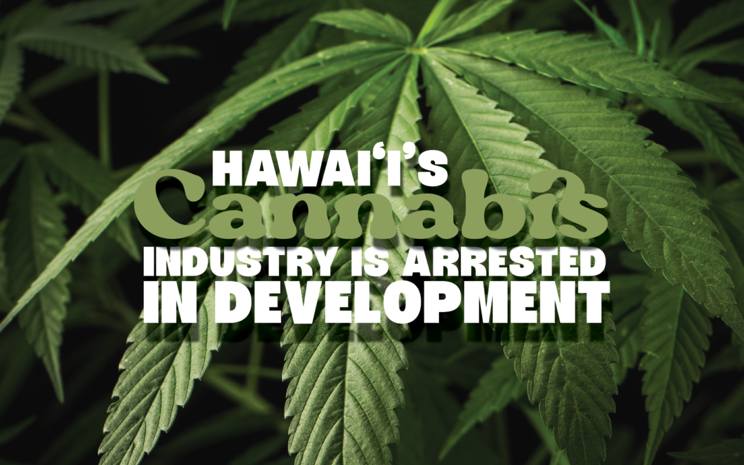 Hawaii’s Cannabis Industry Is Arrested In Development